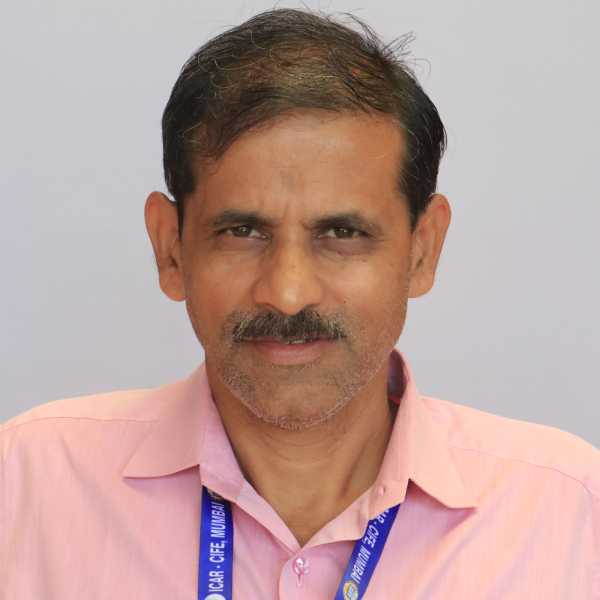 Mr. Vijay S. Kuveskar